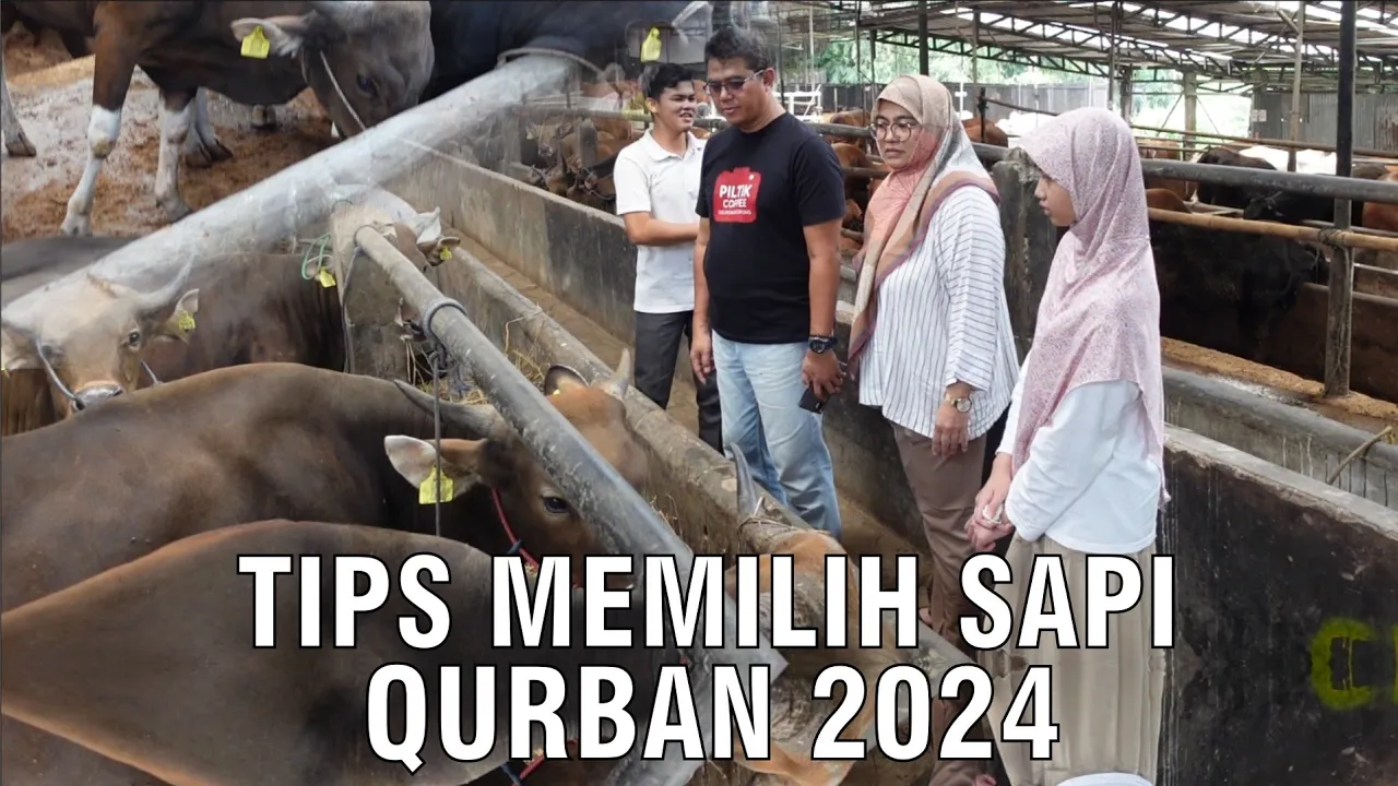
                                 Tips-Memilih-Sapi-Qurban-2024